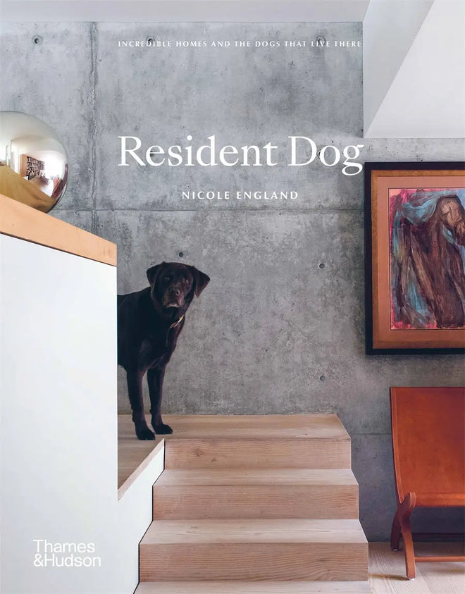 House Cat: Inspirational Interiors and the Elegant Felines Who Call Them Home (Copy)